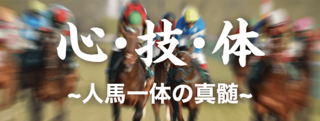 LAP競馬の有料情報心・技・体