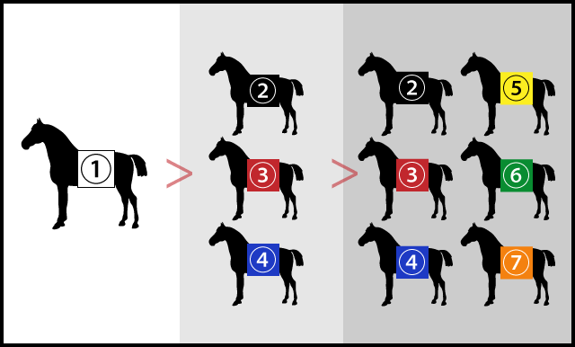 馬券の上手な買い方②：3連複フォーメーション「1-3-6」