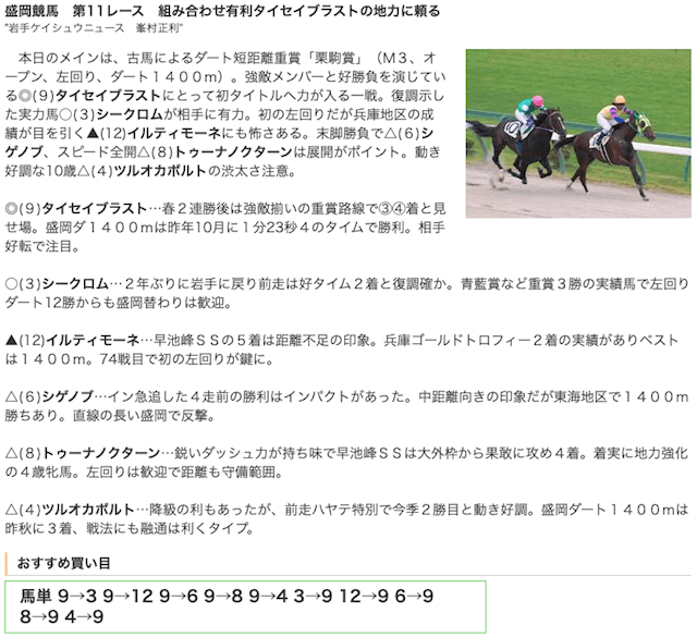地方競馬予想サイトのオススメ5選！競馬で勝ちたきゃここを見ろ！