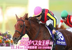 エリザベス女王杯のサムネイル画像