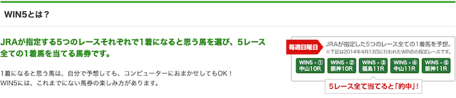 WIN5の券種説明
