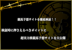 競馬予想サイト 検証