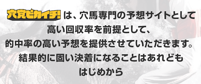 穴党ピカイチの特徴