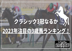 3歳馬の注目ランキング サムネイル