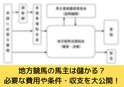 地方競馬の馬主 サムネイル