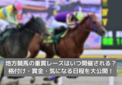 地方競馬の重賞レース サムネイル