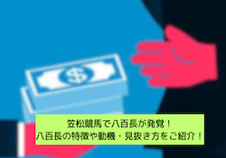 地方競馬の八百長 サムネイル