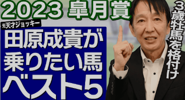 よく当たるユーチューバー1
