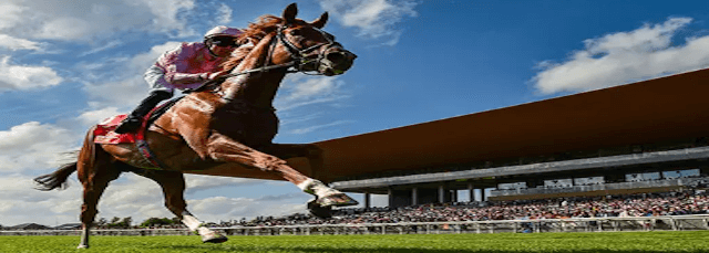 競馬予想ユーチューバーコラム2