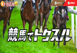 トクスル画像