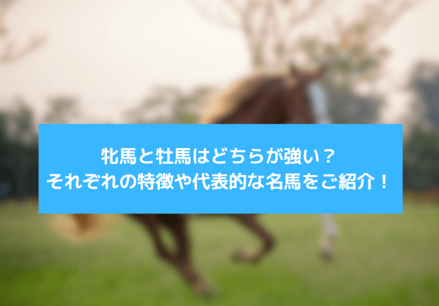 牝馬と牡馬の違い サムネイル