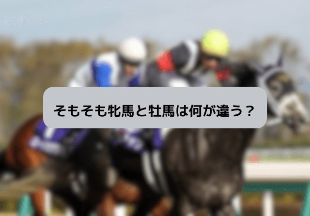 牝馬と牡馬の違い 特徴