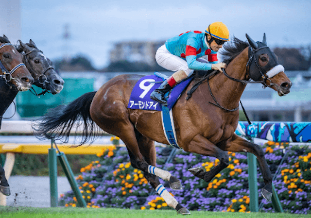 競馬1番人気勝率画像1