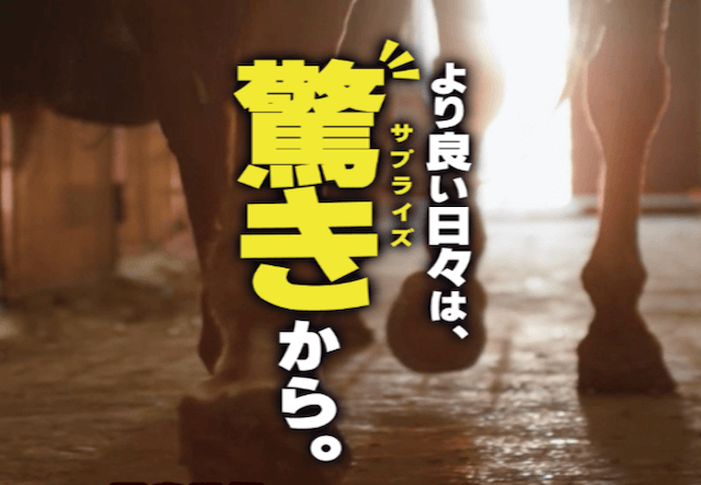 勝馬サプライズ基本情報