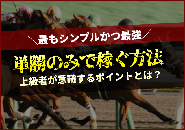 単勝のみ　アイキャッチ