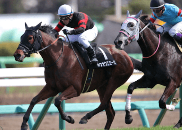 有馬記念　登録馬紹介17