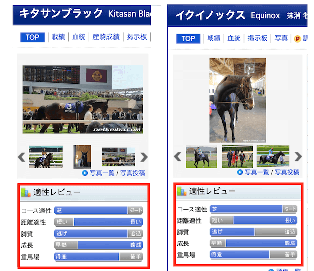 競馬予想 ファクター 血統の比較