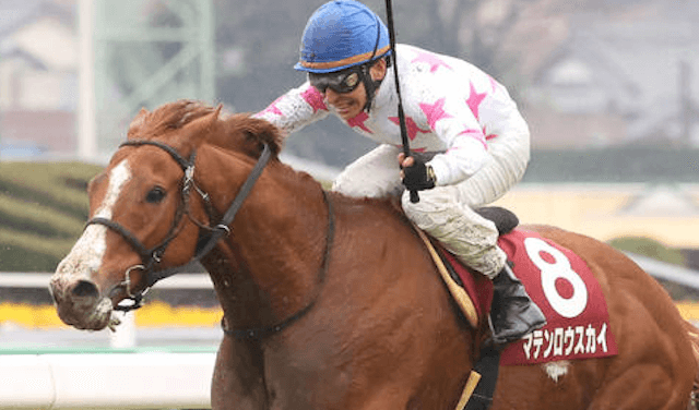 競馬30万稼ぐブログ　画像10