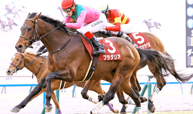 競馬30万稼ぐブログ　画像11