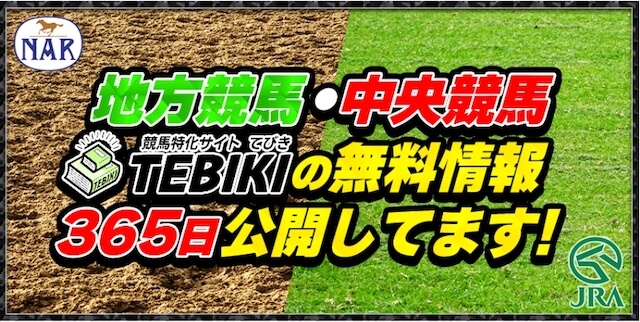 TEBIKI（てびき）の無料予想を毎日公開