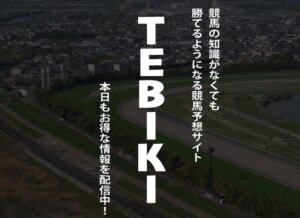 TEBIKI［テビキ］画像