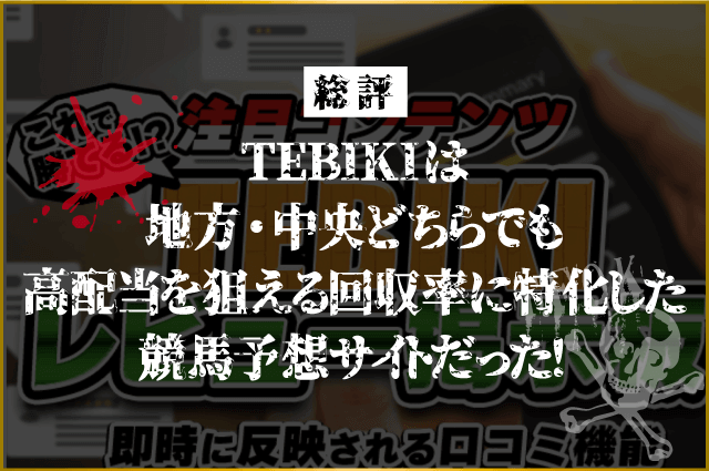 TEBIKIは地方競馬・中央競馬どちらでも高配当を狙える！回収率に優れた競馬予想サイトだった！