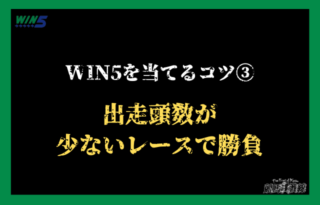 WIN5を当てるコツ③：出走頭数が少ないレースで勝負