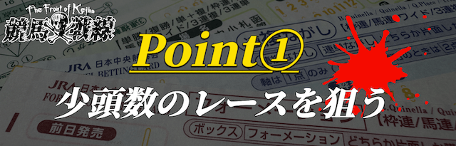ポイント①：少頭数のレースを狙う