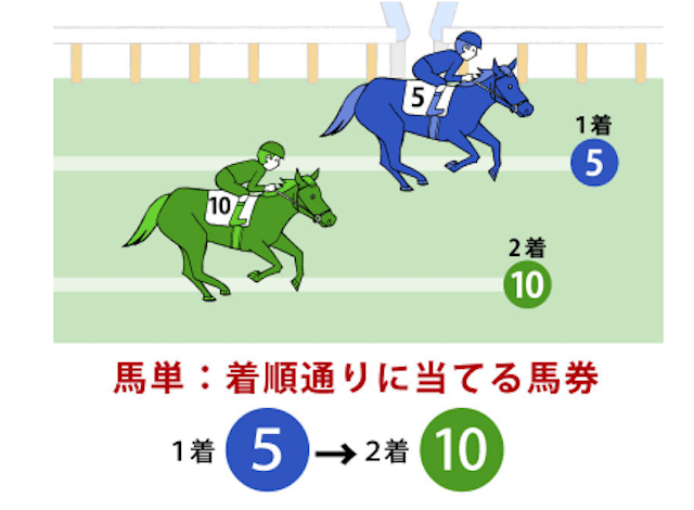 馬単・馬連違いコラム画像1