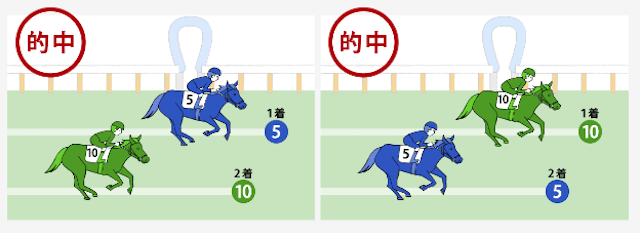 馬単・馬連違いコラム画像2