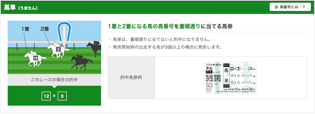 馬単フォーメーション 的中条件