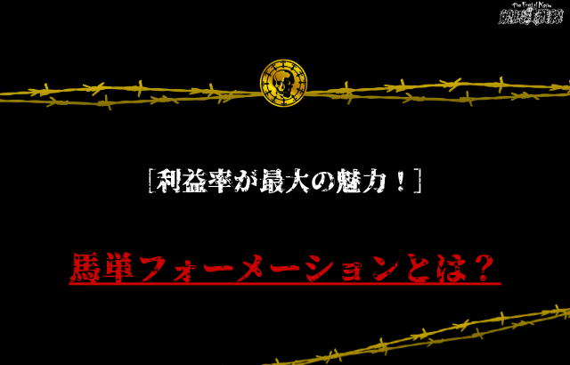 馬単フォーメーション 特徴