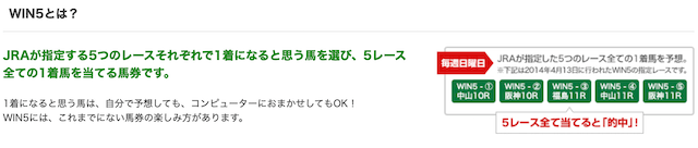 WIN5とは