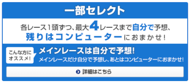 WIN5の買い方②：一部セレクト