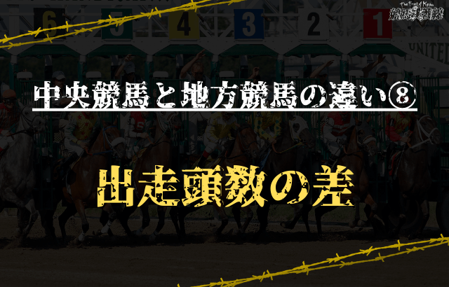 中央競馬と地方競馬の違い⑧：出走頭数の差