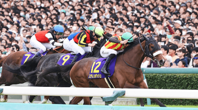 ステレンボッシュ　コラム画像8