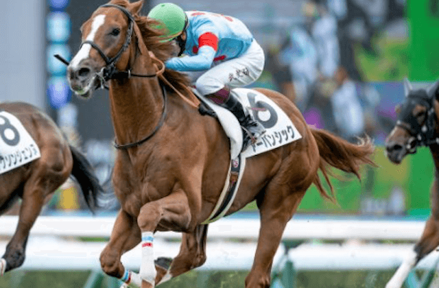 日本ダービー画像2