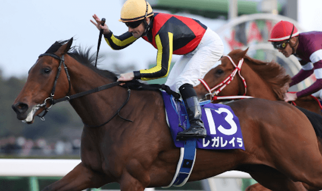 日本ダービー画像5