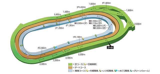 東京競馬場_コース特徴