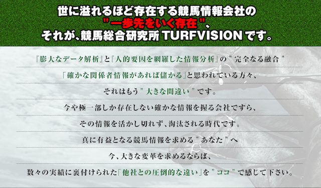 turfvision-tokutyou