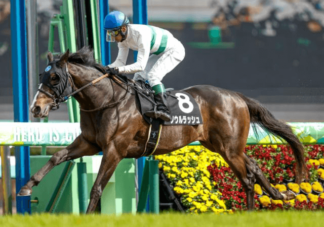 安田記念2024有力馬②：ソウルラッシュ 