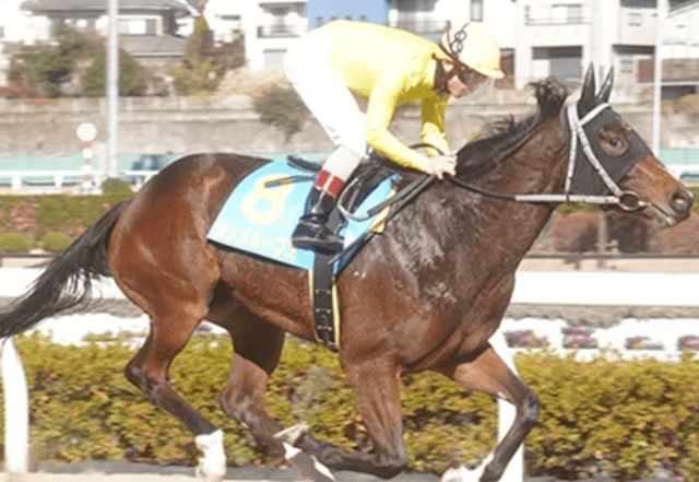 関東オークス画像9