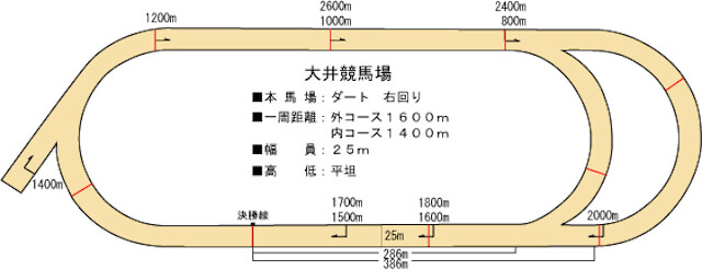 大井競馬場コース概要