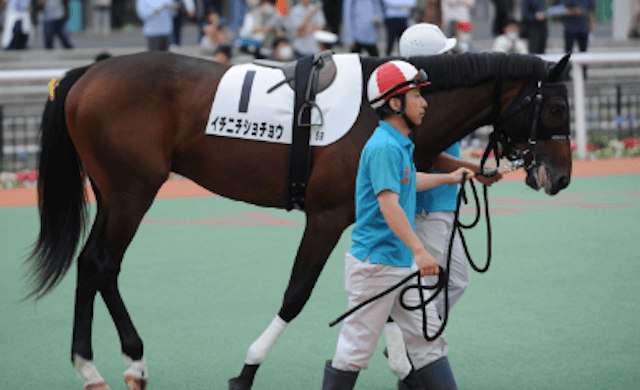 東京ダービーコラム画像10