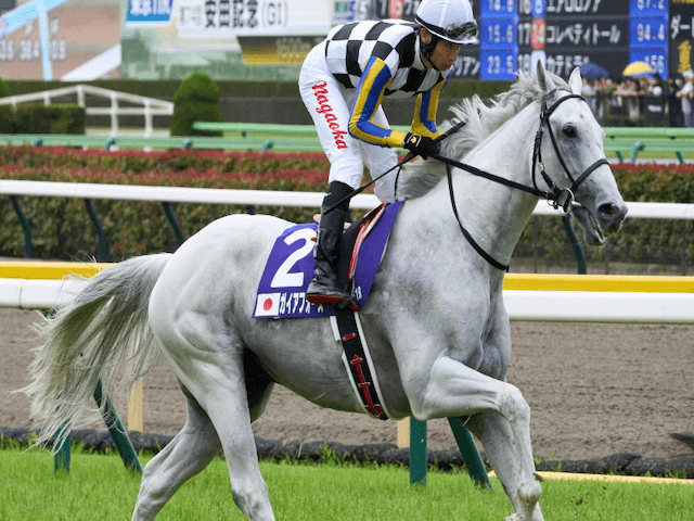 チャンピオンズカップ馬画像3