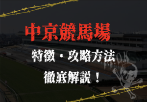 中京競馬場特徴
