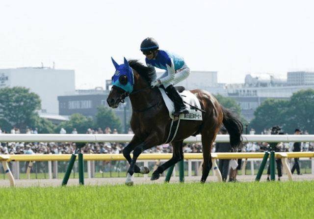 本馬場入場