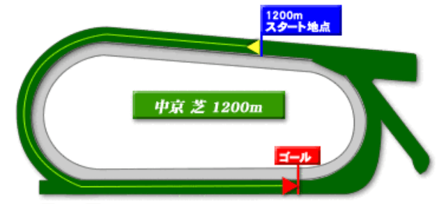中京芝1,200m