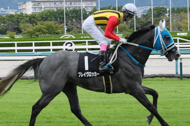 京都記念2025 ブレイヴロッカー 追い切り【D評価】