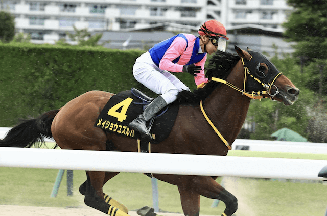 京都記念2025 メイショウユズルハ追い切り【B評価】